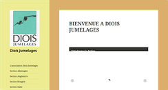 Desktop Screenshot of dioisjumelages.fr